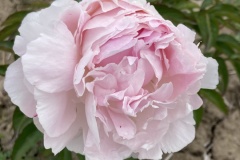 B8B80DC2-6617-4942-8676-391EB5F3F29A