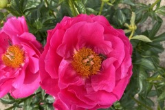 1A245769-1416-43E3-9942-028119AC1DA2