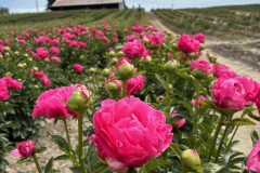 830637CA-BDAD-4E5B-9DDB-CFC4B1B56A84