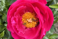 B508D9A0-BC8D-4A07-9039-01B2329E503F