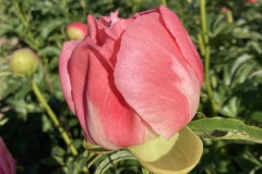 13B06A4B-0C51-4378-B7DC-2FB0100CE4E5