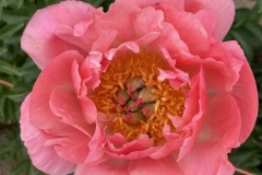 3CA7A76C-42AA-47FA-8362-86424A72B788