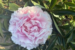 6DAD3CA4-EDC7-41F7-B918-AD260C95E1DE