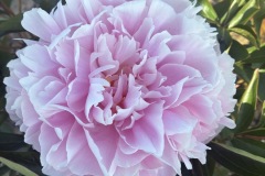 B2DFDC68-E087-4208-B11F-64F40B0BC83B