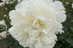 B054E93D-BFEE-4439-A1CE-D2F909DB5D51