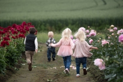 PeoniesatGlencoeFarms_6.12.2022_HeidiHeaphyPhotography_10