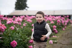 PeoniesatGlencoeFarms_6.12.2022_HeidiHeaphyPhotography_41