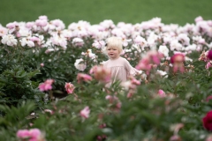 PeoniesatGlencoeFarms_6.12.2022_HeidiHeaphyPhotography_46