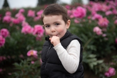 PeoniesatGlencoeFarms_6.12.2022_HeidiHeaphyPhotography_51