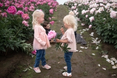 PeoniesatGlencoeFarms_6.12.2022_HeidiHeaphyPhotography_54