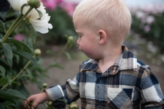 PeoniesatGlencoeFarms_6.12.2022_HeidiHeaphyPhotography_59