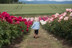 PeoniesatGlencoeFarms_6.8.2022_HeidiHeaphyPhotography_67