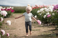 PeoniesatGlencoeFarms_6.8.2022_HeidiHeaphyPhotography_93