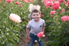 PeoniesatGlencoeFarms_May2023_HeidiHeaphyPhotography_70