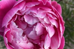 EF6D10FA-65C4-4C5B-B929-7134614978D0