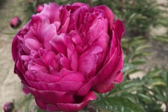 FA08B134-6800-4E33-BCEB-81569D9FE054