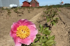 0D6AD5D3-D549-48F9-B65B-CA4845511D72