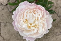 32515289-3552-4BCF-AC3C-11567E5A146B