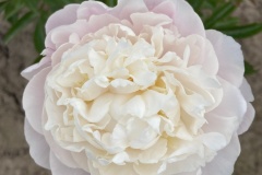 C1AACC00-1A3F-49A1-B683-6BCF9A4E3A65