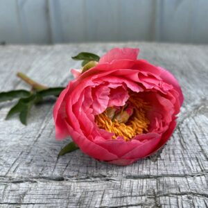 Pink Hawaiian Coral - Single Stem