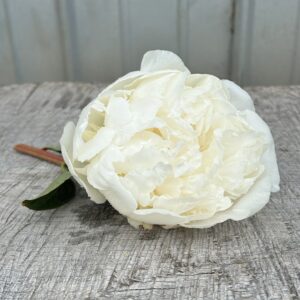 Princess Bride - Single Stem