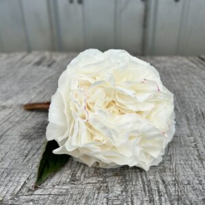 Mother’s Choice - Single Stem