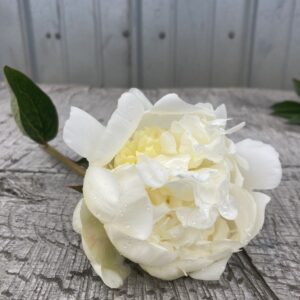 Bridal Shower ~ Single Stem