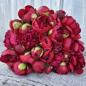 Red 35 Stem Bouquet