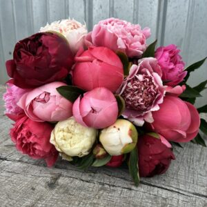 Color Variety 20 Stem Bouquet