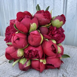 Red 20 Stem Bouquet