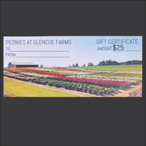 $25 Gift Certificate