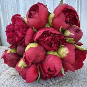 12 Stem Romantic Reds Peony Bouquet