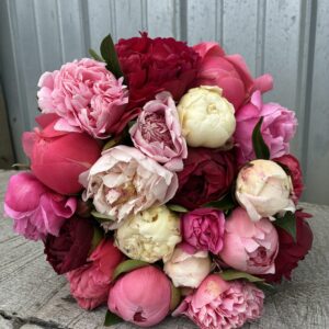 24 Stem Color Burst Bouquet