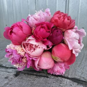 12 Stem Pretty in Pink Peony Bouquet