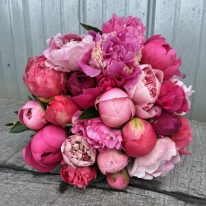 24 Stem Pretty in Pink Peony Bouquet